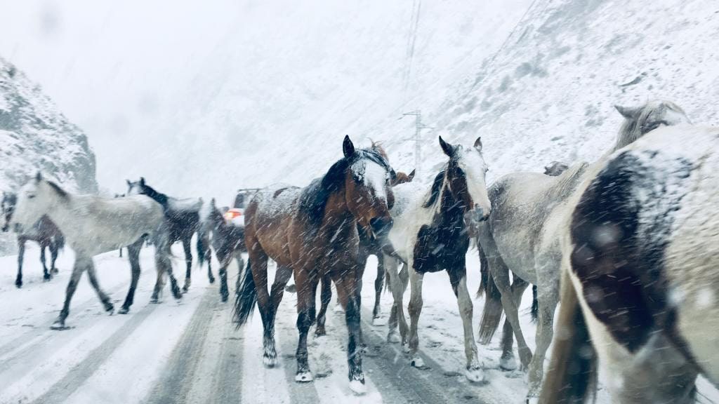 HELLO SIBERIA
