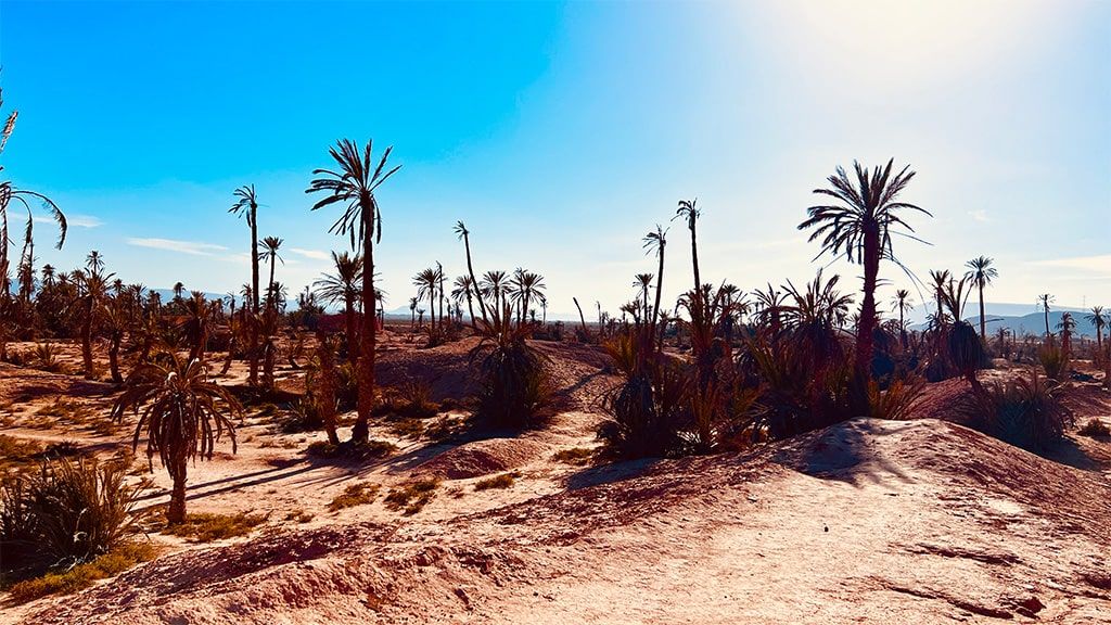 AVENTURA IN DAKAR-AFRICA