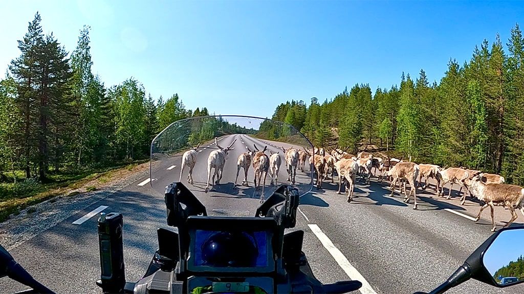 PE URMELE GHETARILOR-NORDKAPP
